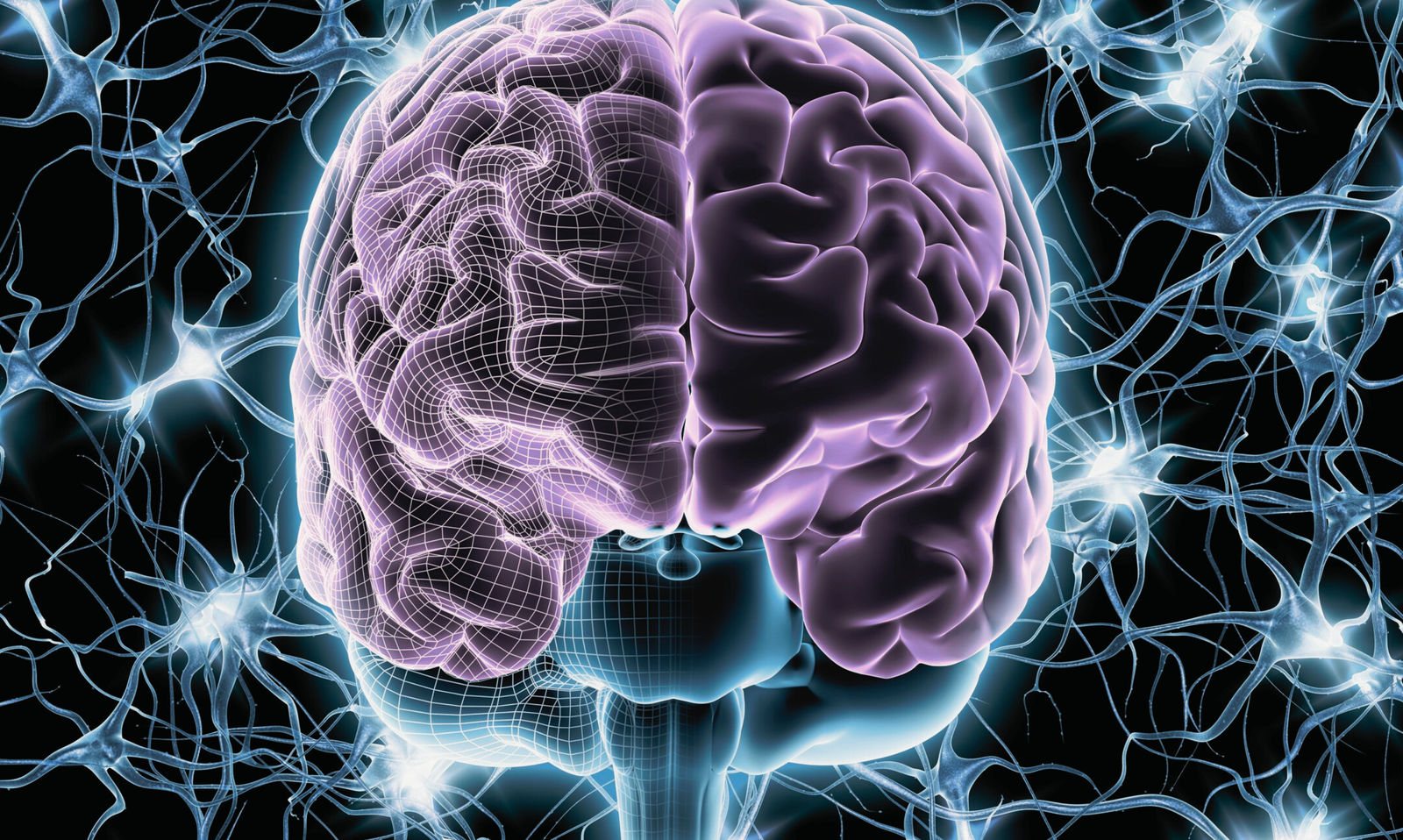 denmark brain